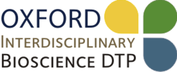logo dtp2